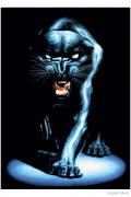 black_panther_meiklejohn.jpg
