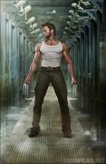 wolverine_6.jpg