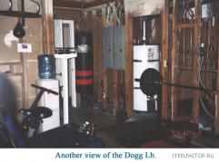 Dogg_Gym_001.jpg