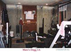 Dogg_Gym_002.jpg