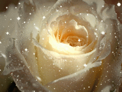 f5b80bc4df8aae91f100d2fe4c54e4dd.gif