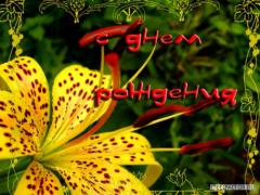 ab88749c60c069afa3c8c738b7bb0841.jpg