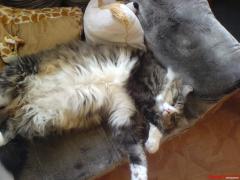 DSC00586.JPG