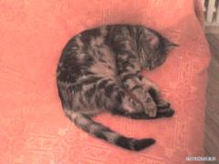 DSC00045.JPG