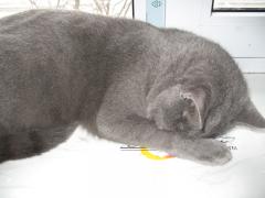 IMG_0361.jpg