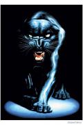 black_panther_meiklejohn.jpg
