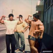 arnold1.jpg