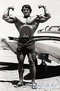 arnold1b.jpg
