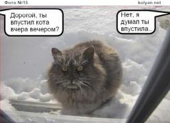 prikol15.jpg