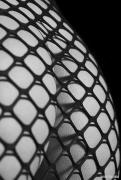 bw_01.jpg