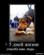 675560__5_dnej_zhizni.jpg