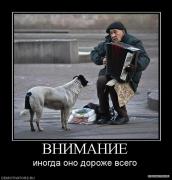 97717_vnimanie.jpg