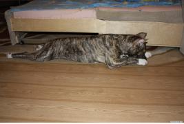 resize_0203.jpg