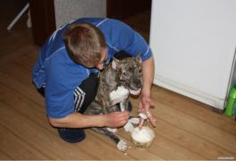 resize_0238.jpg