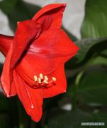 x_59b75129.jpg