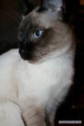 x_37f646bb.jpg