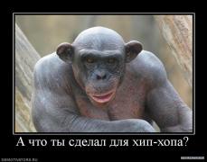 840464_a_chto_tyi_sdelal_dlya_hip_hopa.jpg