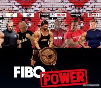 head_fibo_power.jpg