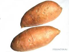 yam.jpg
