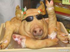 piglet.jpg