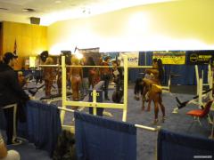 DSCN0714.JPG