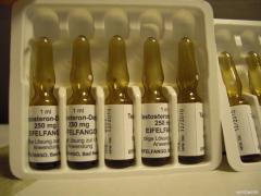 cimg1043g6lr.jpg