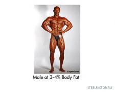 4_percent_body_fat_male.jpg