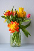 DSC01506.JPG