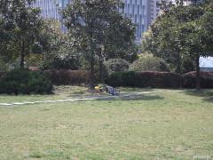 DSCF0050.JPG