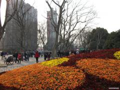 DSCF0091.JPG