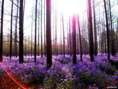 DSCF0138.JPG