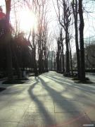 DSCF0154.JPG