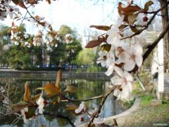 DSCF0162.JPG