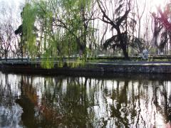 DSCF0166.JPG