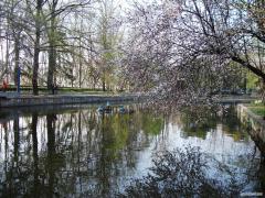 DSCF0167.JPG