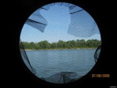 IMG_1159.jpg