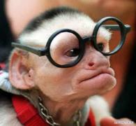 aa5008e757.jpg