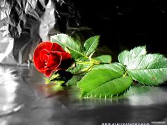 12049733193211_admin.jpg