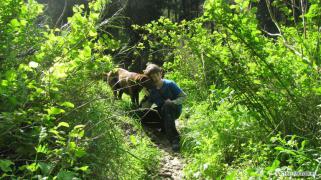 IMG_4925.jpg