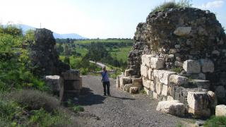 IMG_5195.jpg