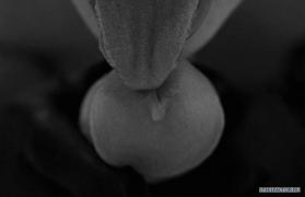 S37_2010_51.jpg
