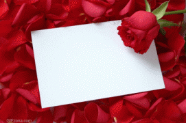 66.gif