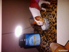 IMG00662_20110301_1826.jpg