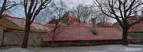 P1010163_1.jpg