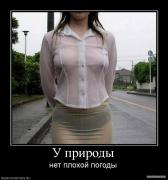 406736_u_prirodyi.jpg