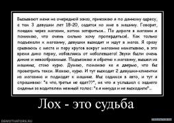 984528_loh_eto_sudba.jpg