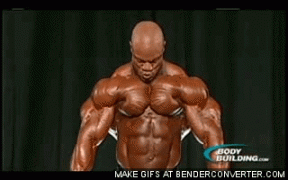 temp_320_62627331.gif