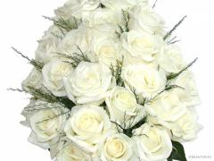 rose1_4_.jpg