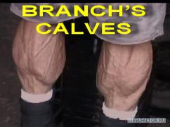 Branch_Warren_calves.jpg