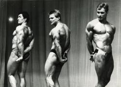 каштан_1989_2.jpg